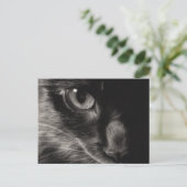 Black Beauty Cat Postcard Postkarte (Stehend Vorderseite)