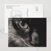 Black Beauty Cat Postcard Postkarte (Vorne/Hinten)