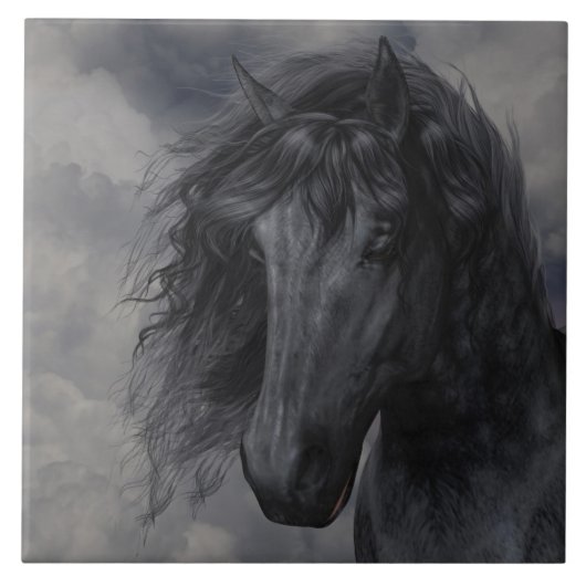 Black Beauty Fliese (Vorderseite)