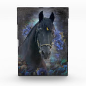 Black Beauty Friesian Horse - Foto Block (Vorderseite)