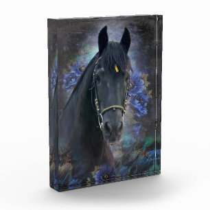 Black Beauty Friesian Horse - Foto Block
