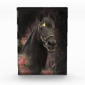 Black Beauty Friesian Horse - Foto Block (Vorderseite)