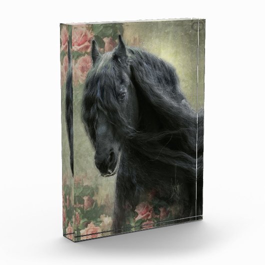 Black Beauty Friesian Horse - Foto Block (Links)