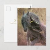Black Beauty Friesian Horse - Postcard Postkarte (Vorne/Hinten)