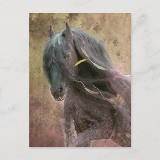Black Beauty Friesian Horse - Postcard Postkarte (Vorderseite)