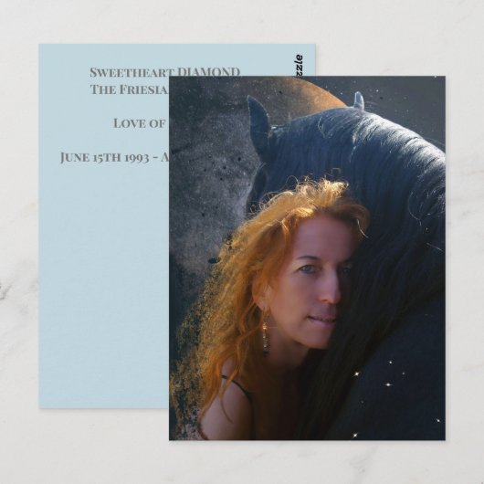 Black Beauty Friesian Horse - Postcard Postkarte (Vorne/Hinten)