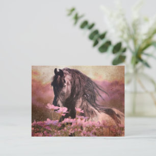 Black Beauty Friesian Horse - Postcard Postkarte