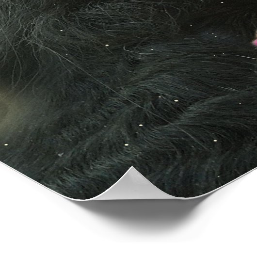 Black Beauty Friesian Horse - Poster (Ecke)