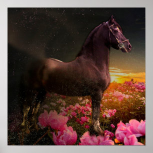 Black Beauty Friesian Horse - Poster
