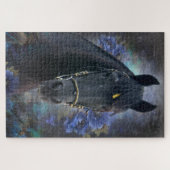 Black Beauty Friesian Horse - Puzzle (Horizontal)