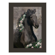 Black Beauty Friesian Pferd - Poster