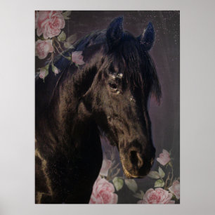 Black Beauty Friesian Pferd - Poster