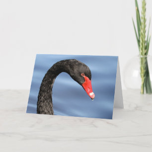 Black Beauty Greeting Card Karte