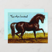 Black Beauty Horse Party Einladungen jedes Mal (Vorne/Hinten)