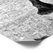 Black Beauty Horse Poster (Ecke)