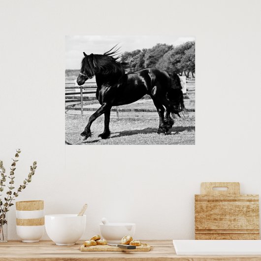 Black Beauty Horse Poster (Küche)