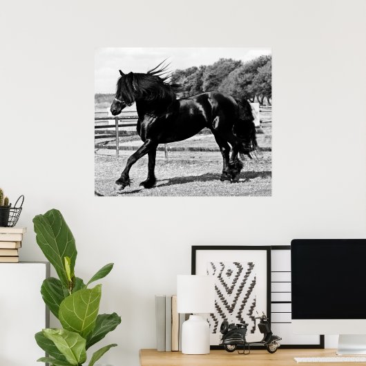 Black Beauty Horse Poster (Heimbüro)