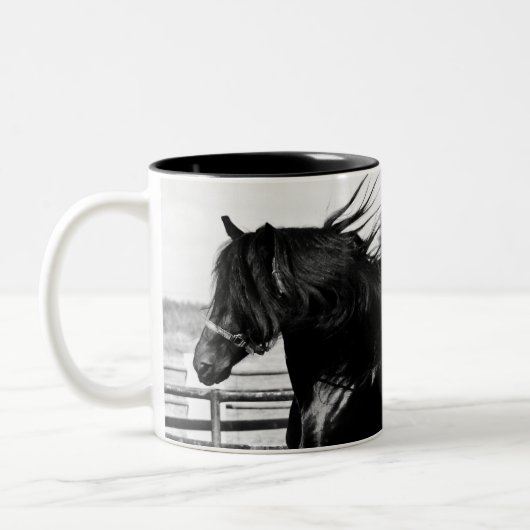Black Beauty Horse Zweifarbige Tasse (Links)
