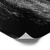 Black Beauty - Poster (Ecke)