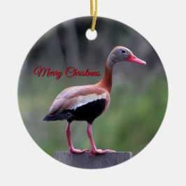 Black Bellied Pfeifente, frohe Weihnachten Keramik Ornament