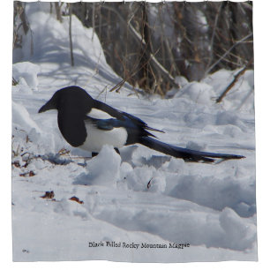 Black Billed Rocky Mountain Magpie Duschvorhang
