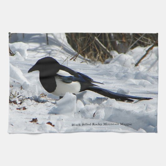 Black Billed Rocky Mountain Magpie Küchentuch (Horizontal)