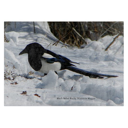 Black Billed Rocky Mountain Magpie Schneidebrett (Vorderseite)