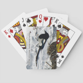 Black Billed Rocky Mountain Magpie Spielkarten