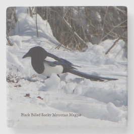 Black Billed Rocky Mountain Magpie Stone Untersetz Steinuntersetzer