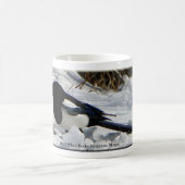 Black Billed Rocky Mountain Magpie Tasse (Mittel)