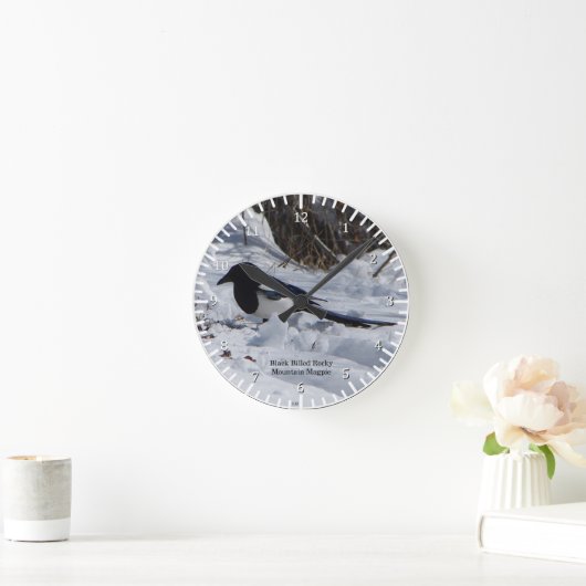 Black Billed Rocky Mountain Magpie Uhr (Zuhause)