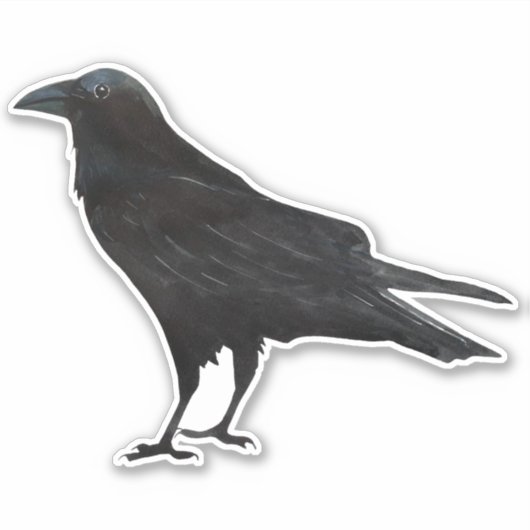 Black Bird Crow Aufkleber (Vorderseite)