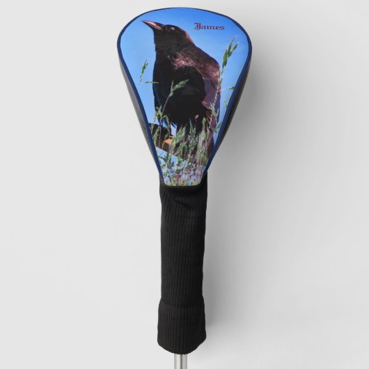 Black Bird - Raven Golf Headcover (Vorderseite)