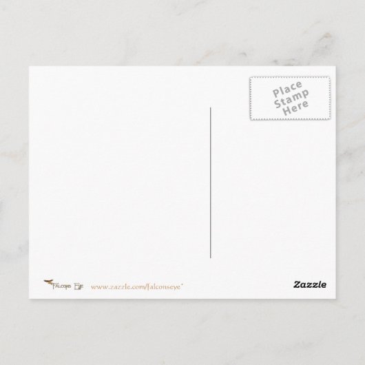 Black Bodice von George Barbier Postkarte (Rückseite)