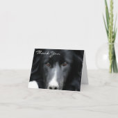 Black Border Collie Face Hund Danke Karte (Vorderseite)