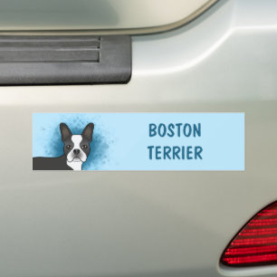 Black Boston Terrier Cartoon Dog On Blue & Text Autoaufkleber