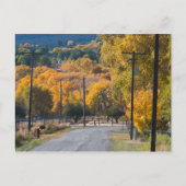 Black Bridge Road Postkarte (Vorderseite)