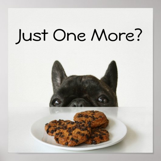 Black Brindle French Bulldog Poster (Vorne)