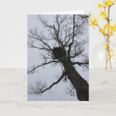 Black Brook Nest Karte (Gelbe Blume)