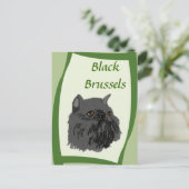 Black Brussels Griffon Postkarte (Stehend Vorderseite)