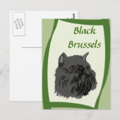Black Brussels Griffon Postkarte (Vorne/Hinten)