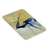 Black Buck Velavadar 1997 Magnet (Rechte Seite)