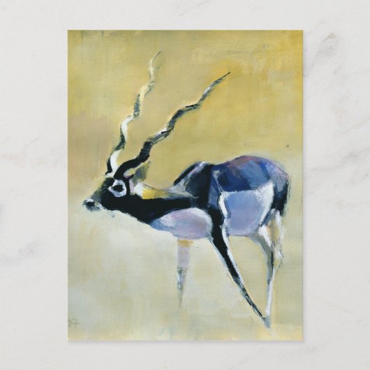Black Buck Velavadar 1997 Postkarte (Vorderseite)