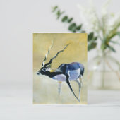 Black Buck Velavadar 1997 Postkarte (Stehend Vorderseite)