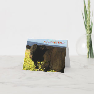 Black Bull in Blume - Änderung der Adresse des Wes Ankündigung