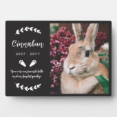 Black Bunny Paws Greenerity Foto Rabbit Memorial Fotoplatte (Vorderseite)