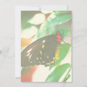 Black Butterfly Nature Einladung (Rückseite)