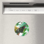 Black Butterfly Nature Magnet (In Situ (Geschirrspüler))