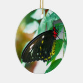 Black Butterfly Nature Ornament (Rechts)