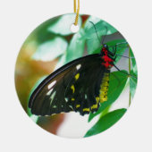 Black Butterfly Nature Ornament (Vorne)